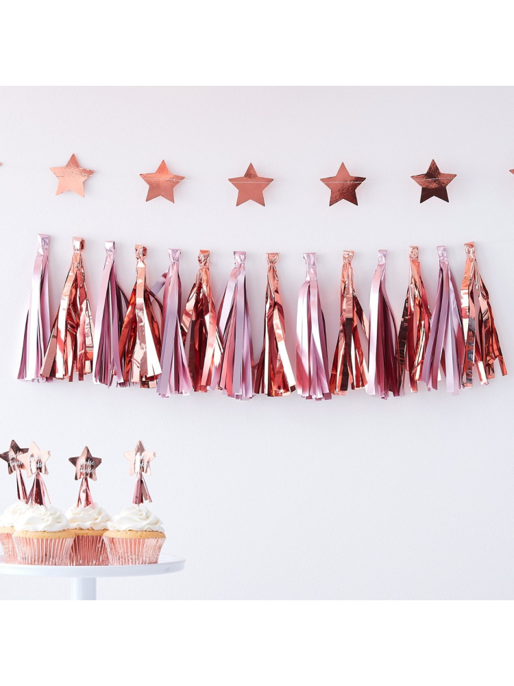 Ginger Ray TW-811 Twinkle Twinkle - Guirnalda de borlas Rosa main product photo