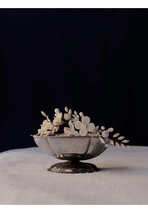 Lizeron Justine Peine Blanco