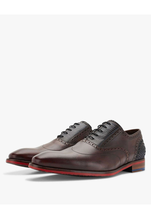 Floris van Bommel Braun 19062/02 Zapatos para hombre ()